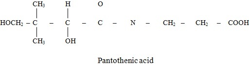 pantothemic acid